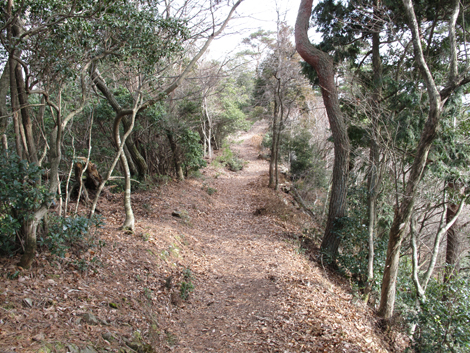 20140102hike (180)